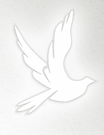 Barbara P Smith Obituary